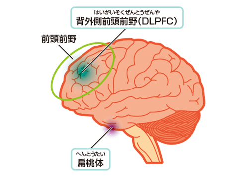 頭痛 前頭葉